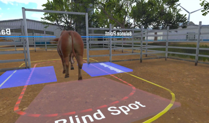 Cattle Training CattleVR