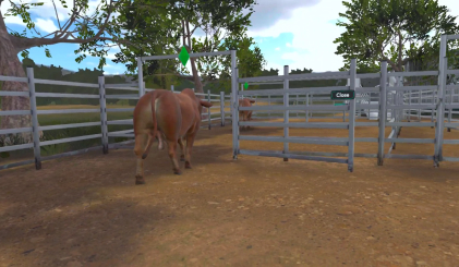 Cattle Training Simulator