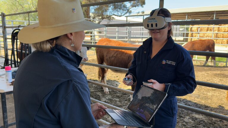 CattleVR in the yards